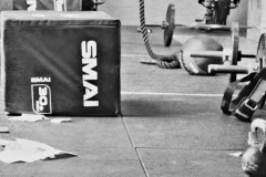 Health & Fitness