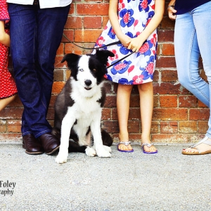 families_3