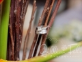 24012009(158)_web