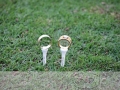 24032012(313)_web