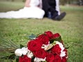 25092010(234)web