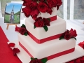 25092010(70)web