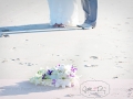 29102010(206)web