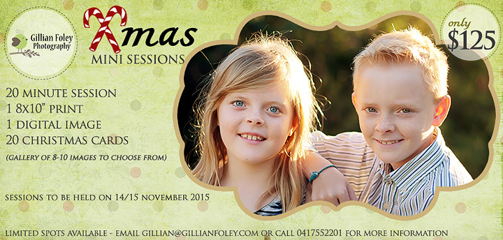 2015 Xmas Mini Sessions