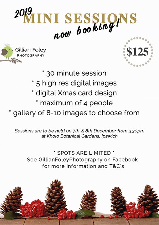 mini sessions are here again!